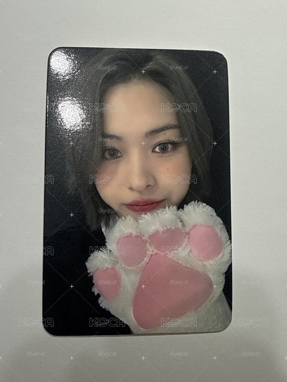 ITZY cheshire 留真 貓掌 特典