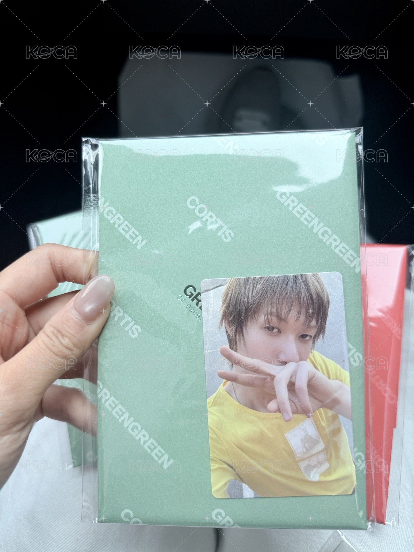 綠專馬丁