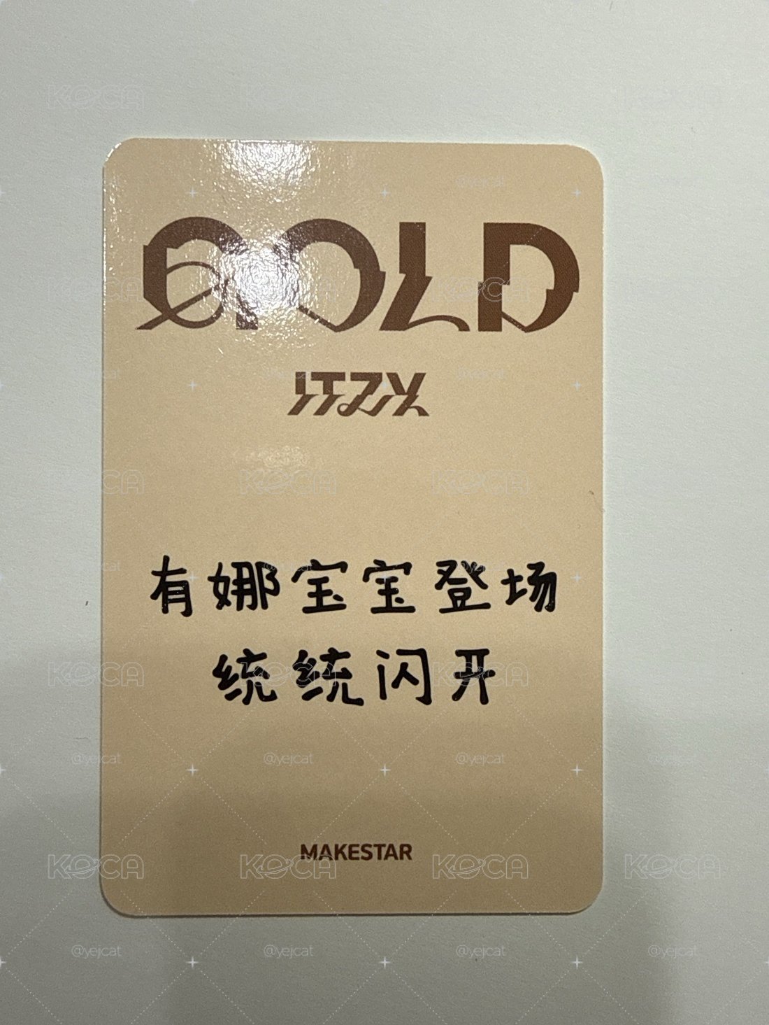 ITZY GOLD 中文卡背 卡皮巴拉 有娜