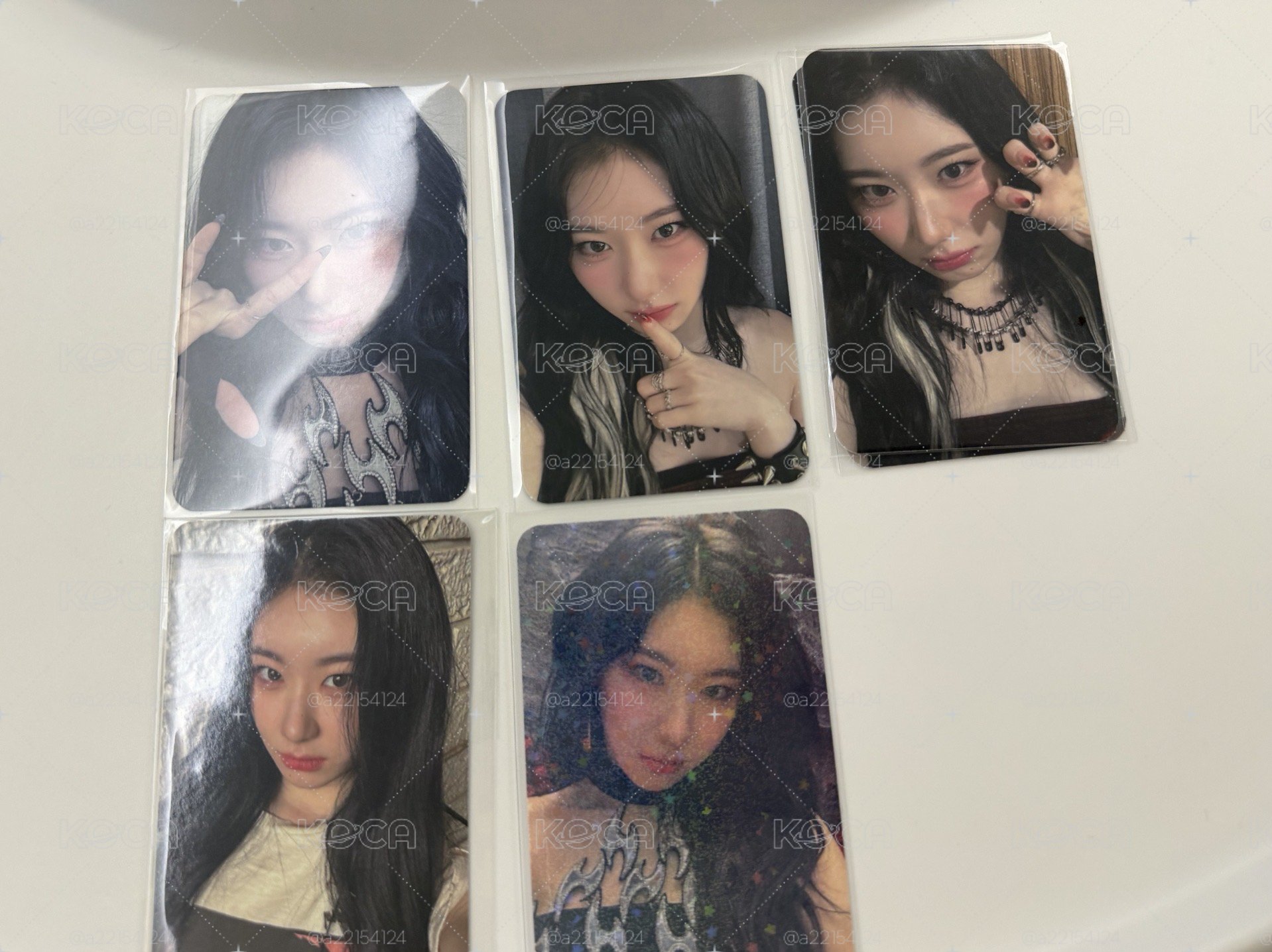 彩領小卡專區