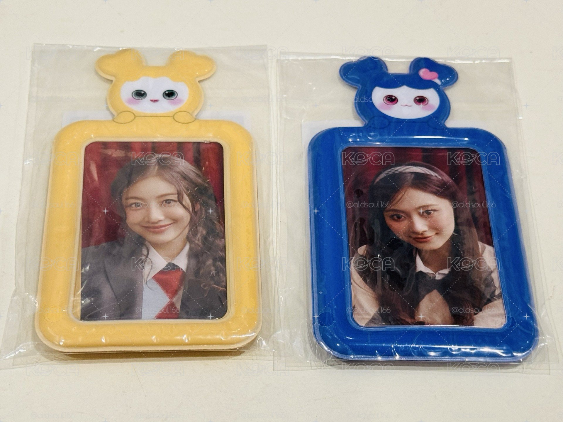 TWICE 新國立 卡套 卡夾 卡架 全新現貨