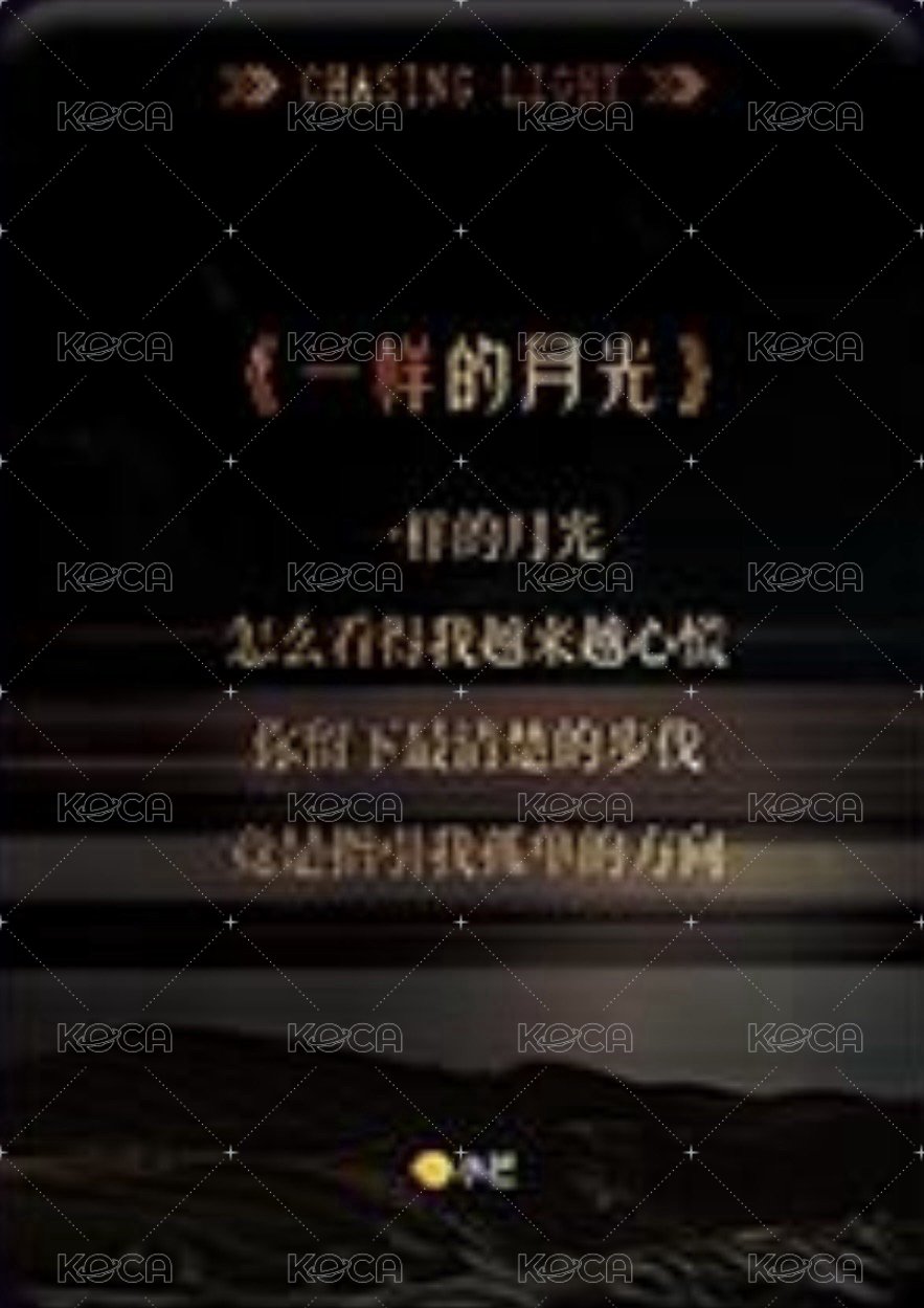 逐光典藏卡 SSR-2 熱赴新歲 隨機卡  背面