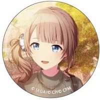 細閃 vol.19 A 徽章 列車花前