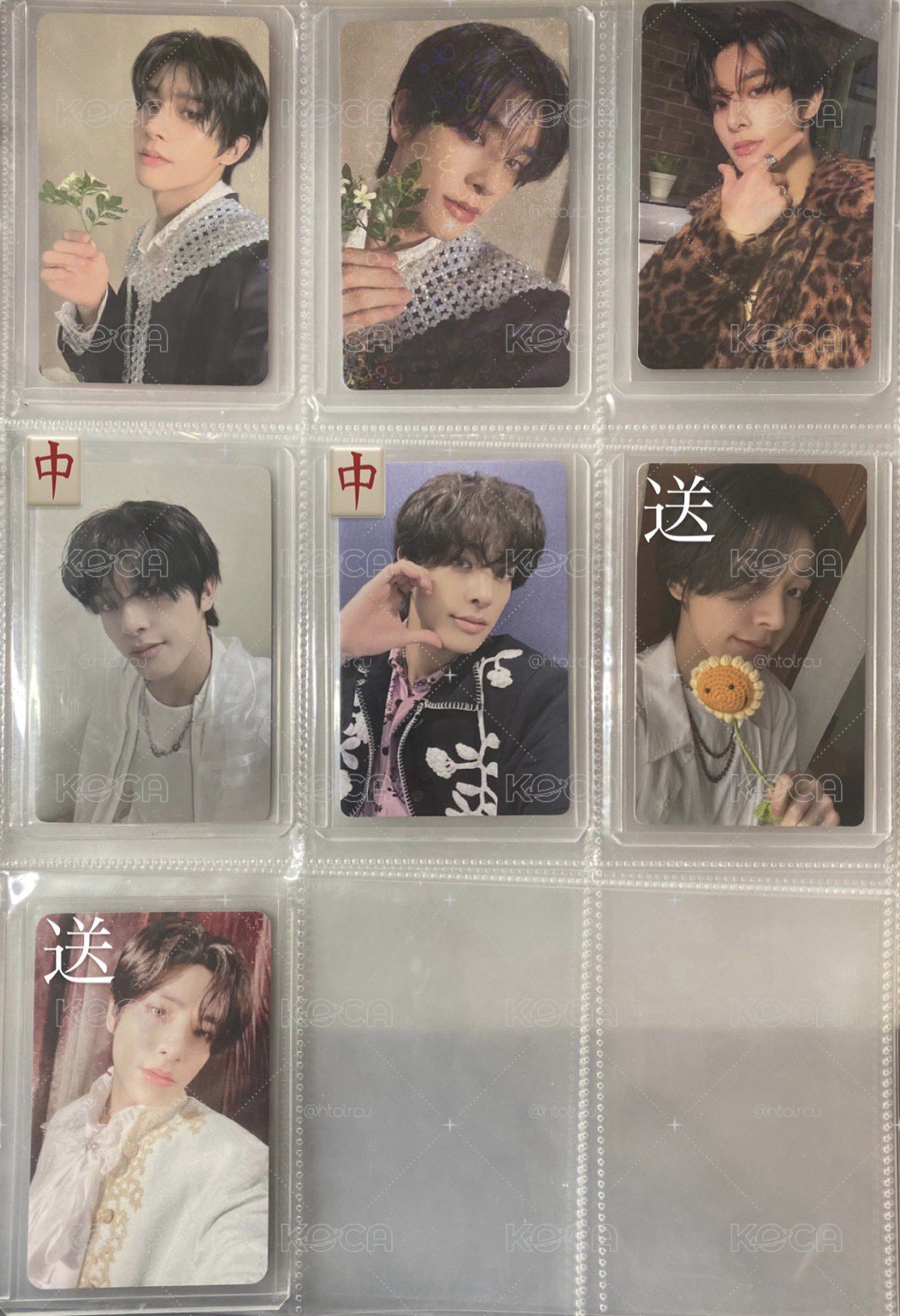 倫特典小盤