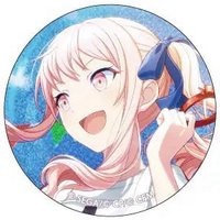 細閃 vol.19 C 徽章 體育祭花前