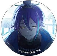 細閃 vol.20 C 徽章 體育祭花後