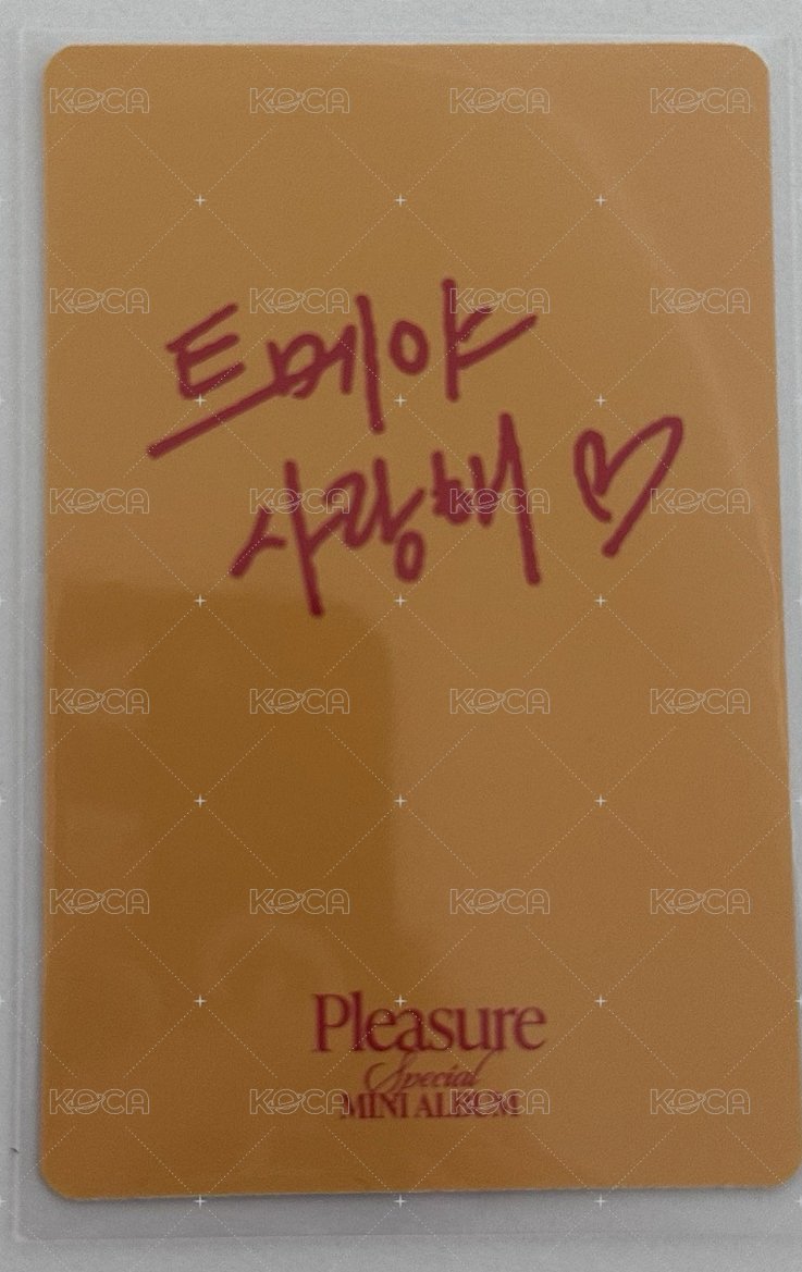 PLEASURE 專輯卡  背面