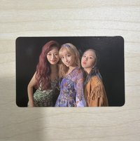 子桃彩 小分隊