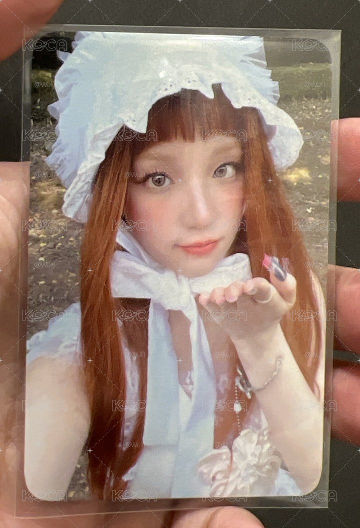 楠藝琦
