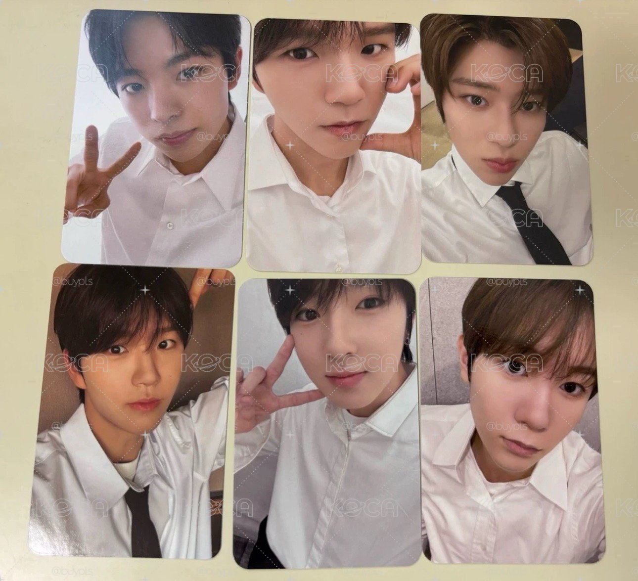 NCT Wish Steady Mumo特典卡