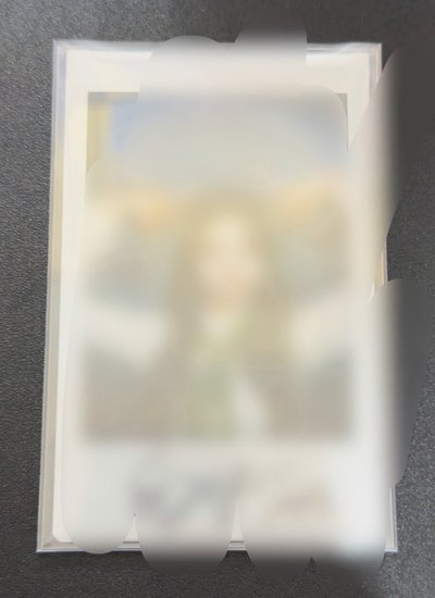 童軍薛未公開
