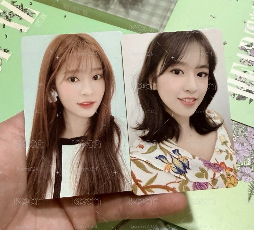 izone 迷二專輯