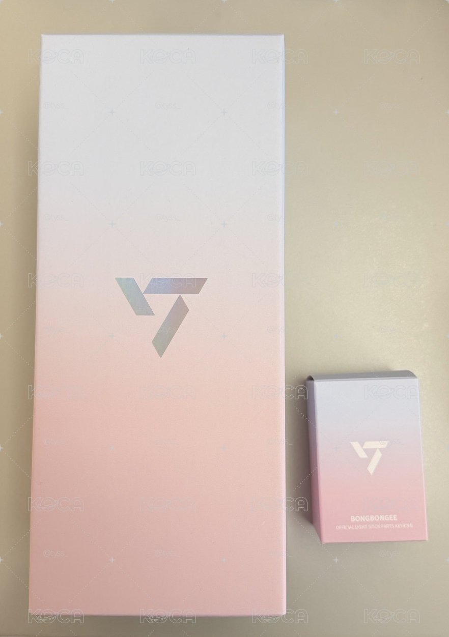 seventeen 十週年手燈 蹦蹦頭