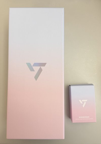 seventeen 十週年手燈 蹦蹦頭