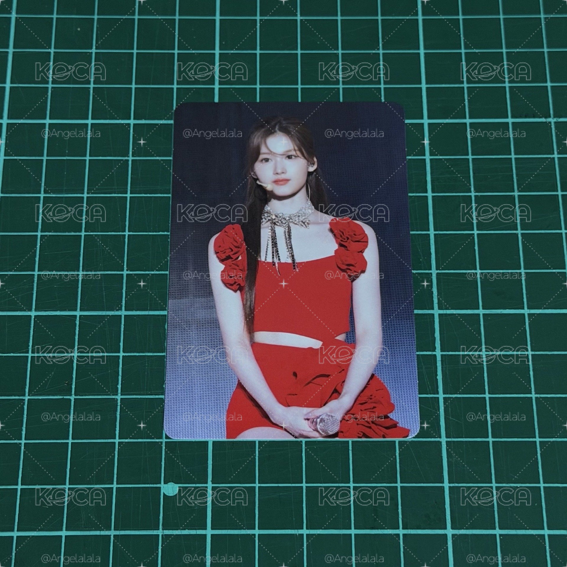 SANA DVD 小卡
