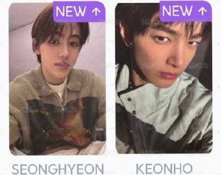 kkt預售🦊🐶
