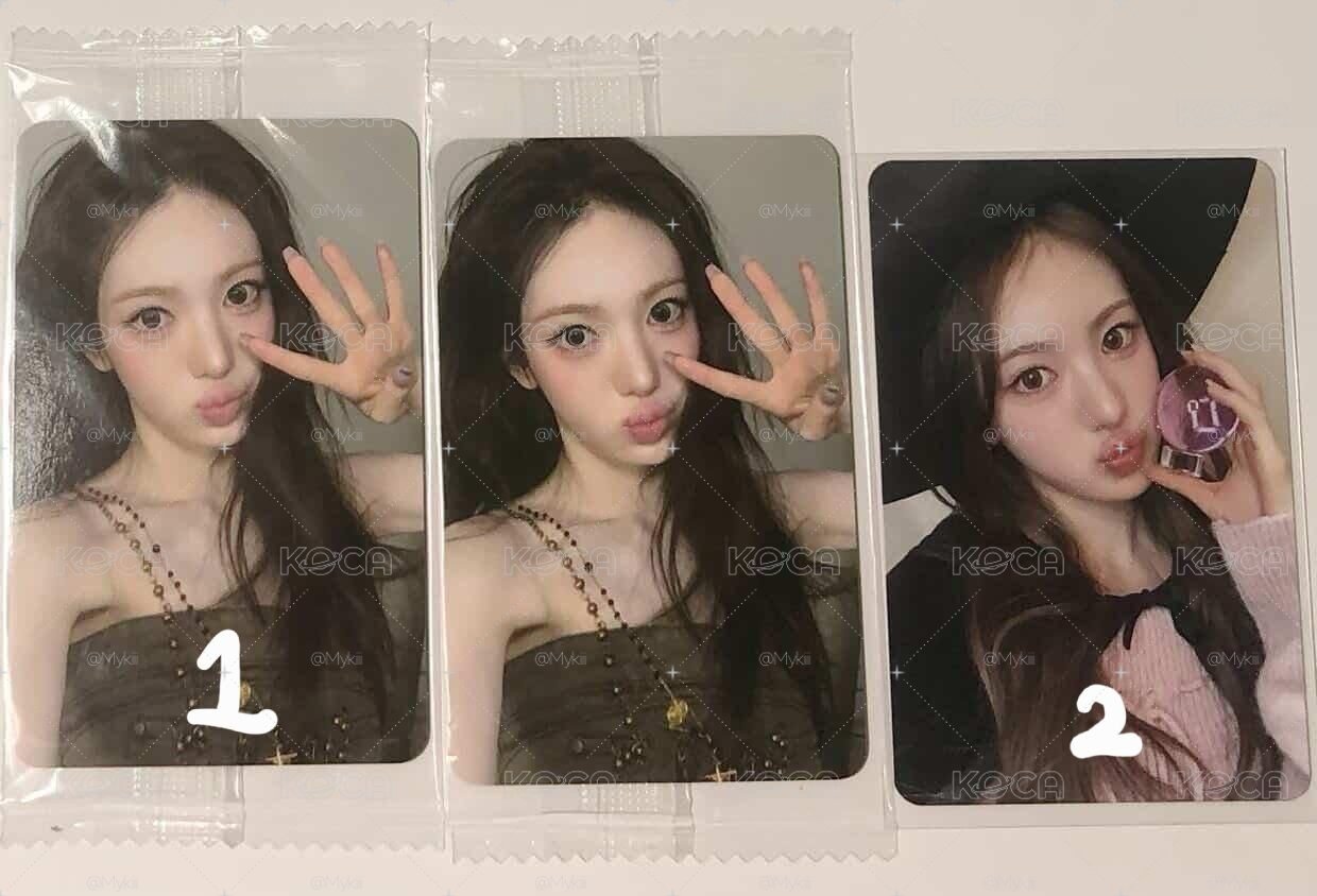 Sui🐶