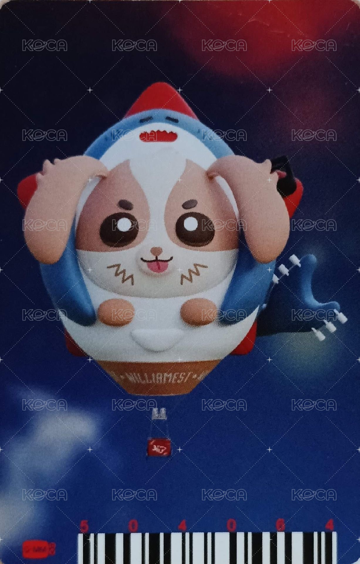 25 LOL WESLEY 周邊卡  背面