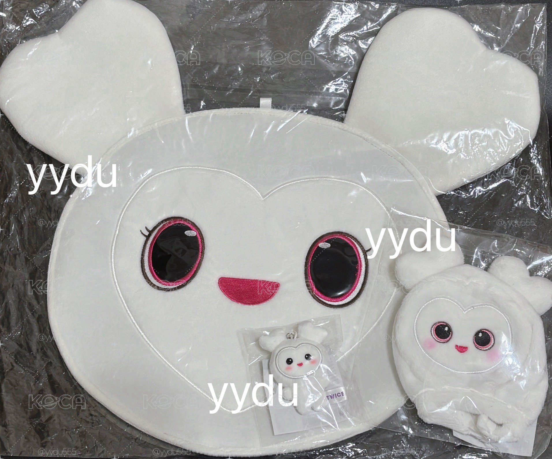 ✅現貨✅Twice 多賢 豆豆眼/扇套/手燈套