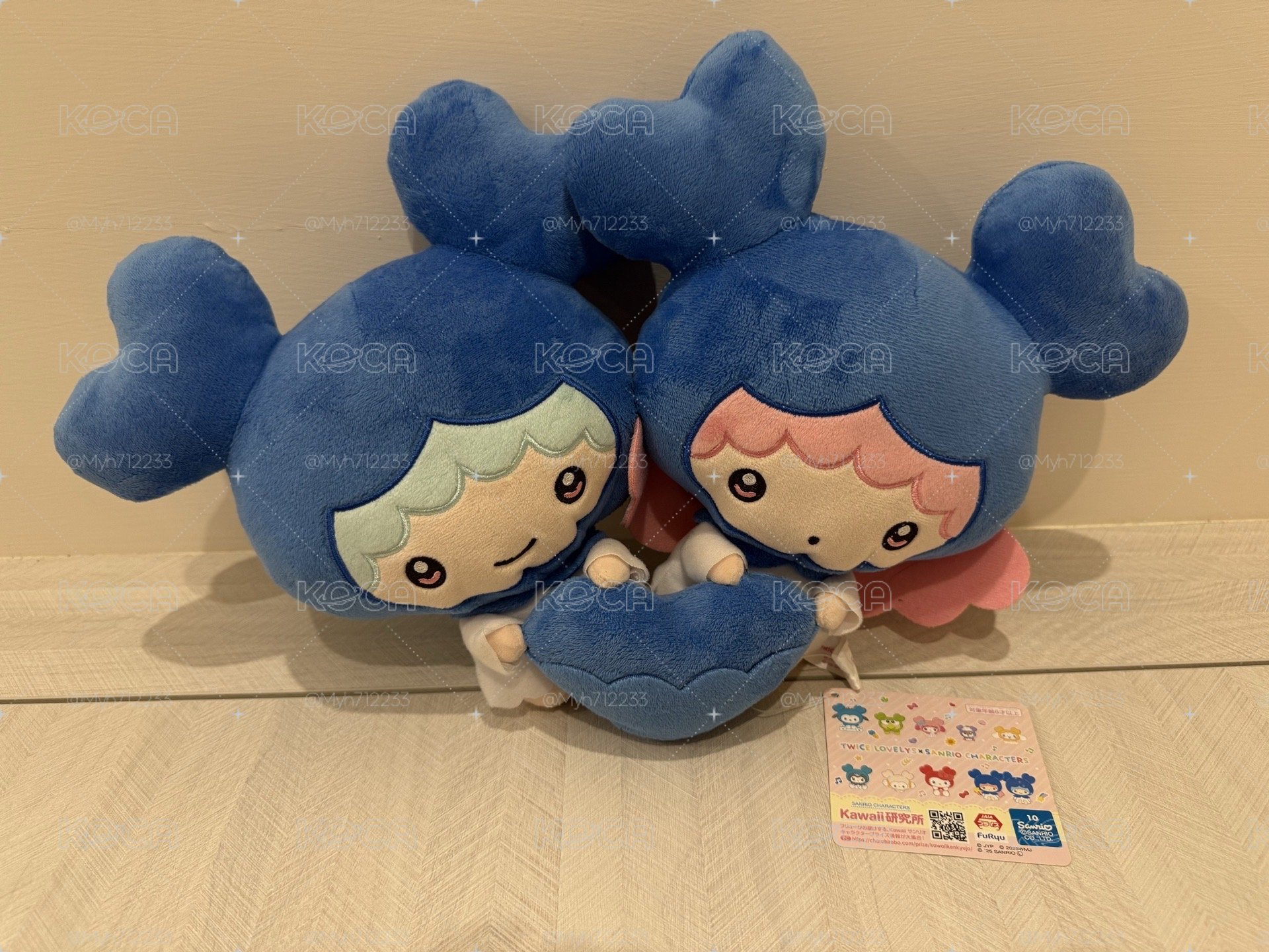 TWICE 三麗鷗 子瑜大娃