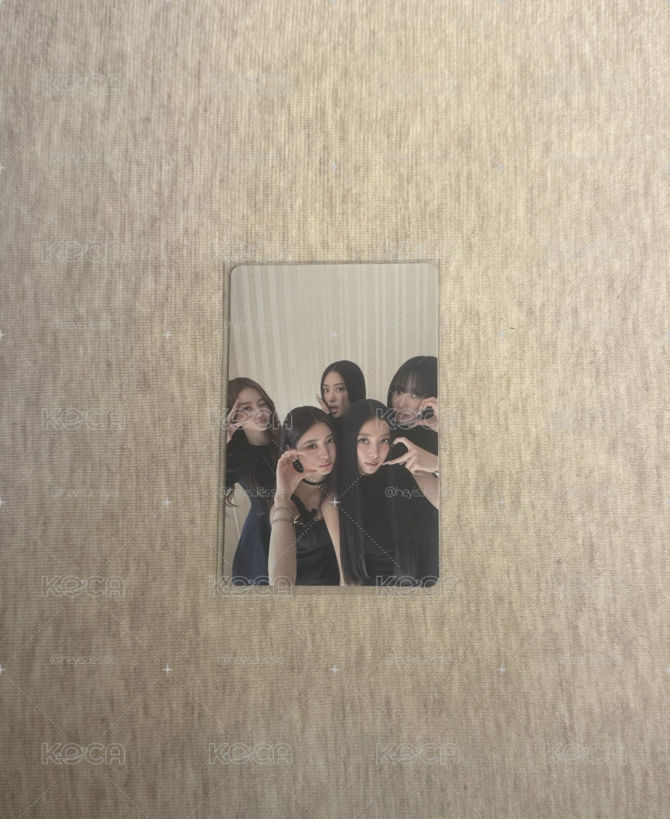Meovv 美網團卡