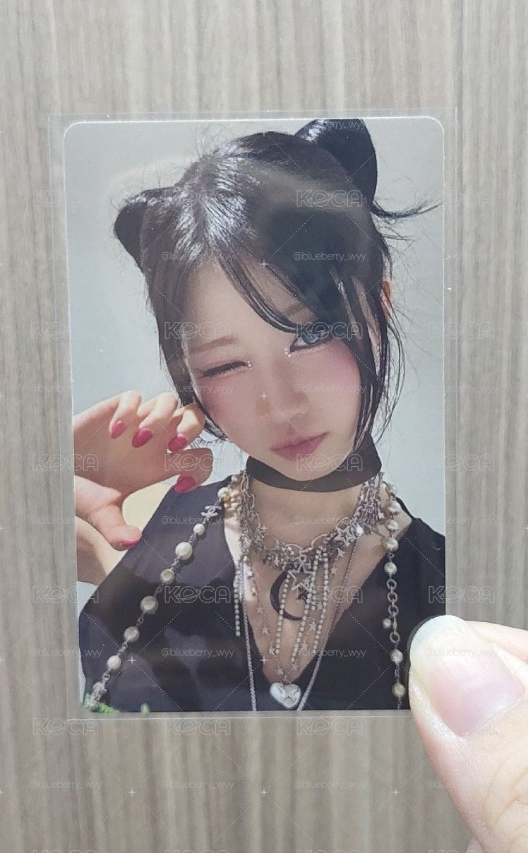 wvs 特典角