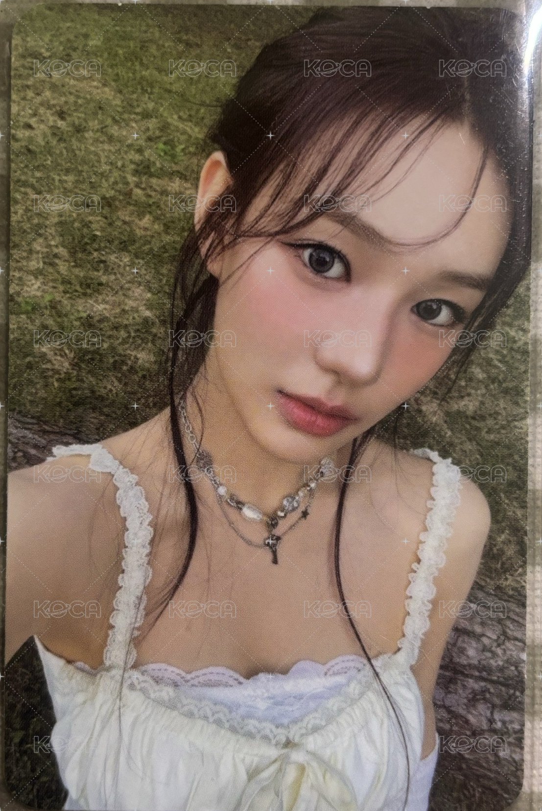 莎朗