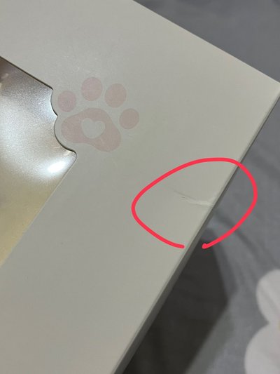漂亮小狗現貨 HETmongi大娃
