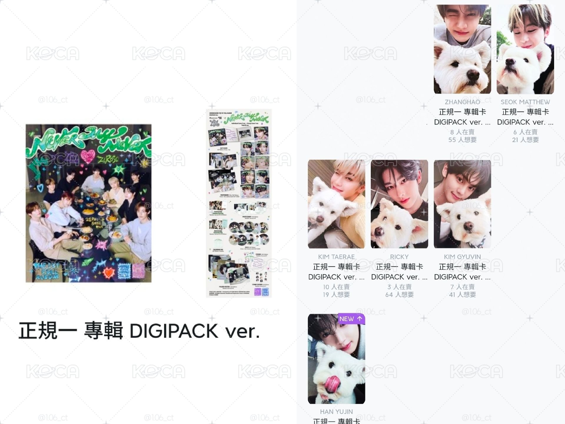 🌹 正規團封*6+昊修來銳奎辰