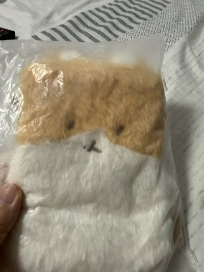 特萊奇 側背小包（原包裝還在未使用 含透卡2款）