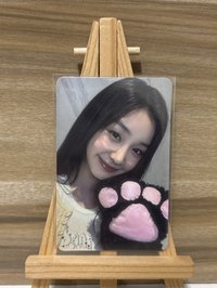 ✨貓抓塔