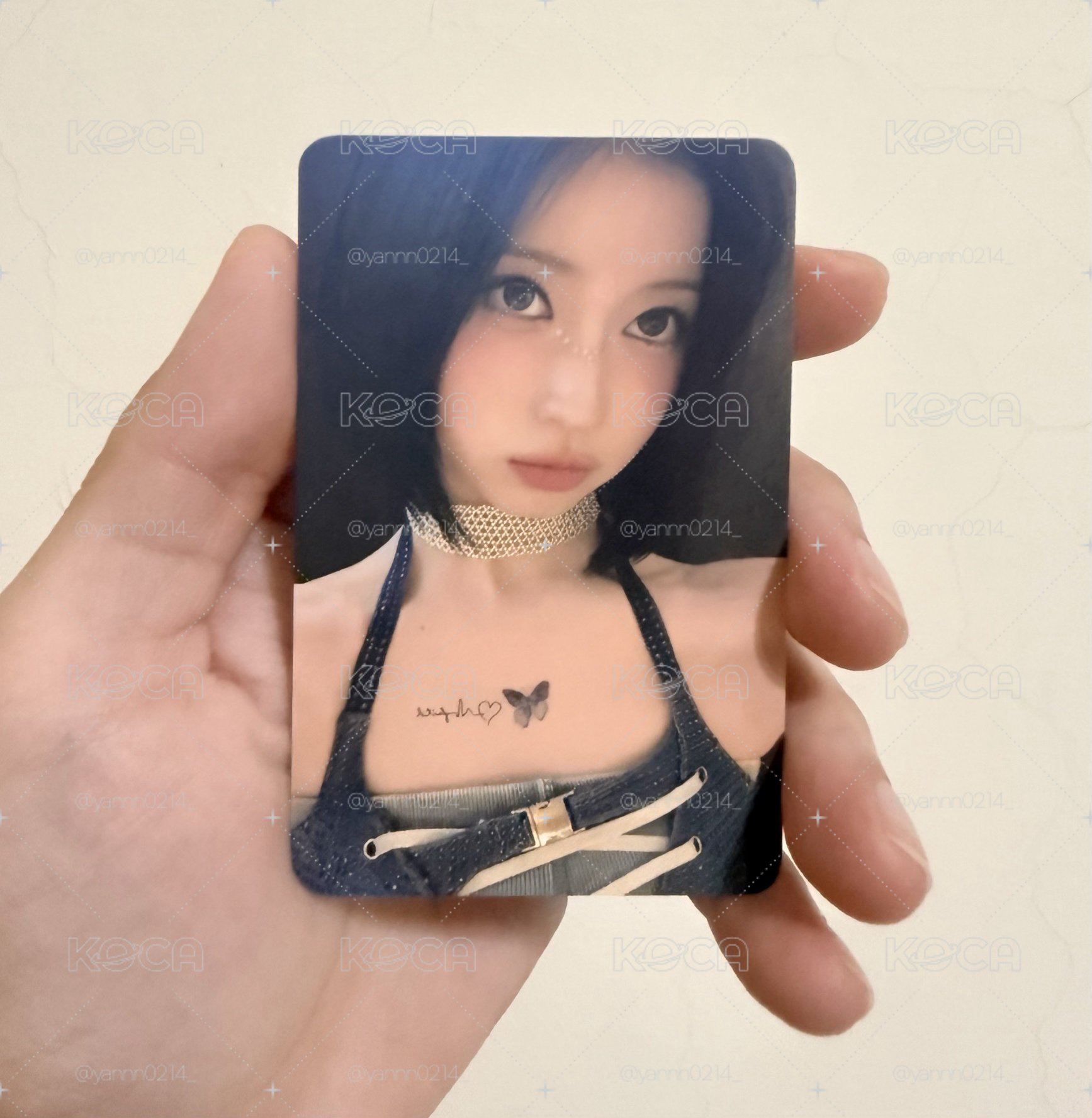 蝴蝶小兔🦋