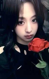 춤 (CHOOM) k4 團封 幸運卡 玫瑰版