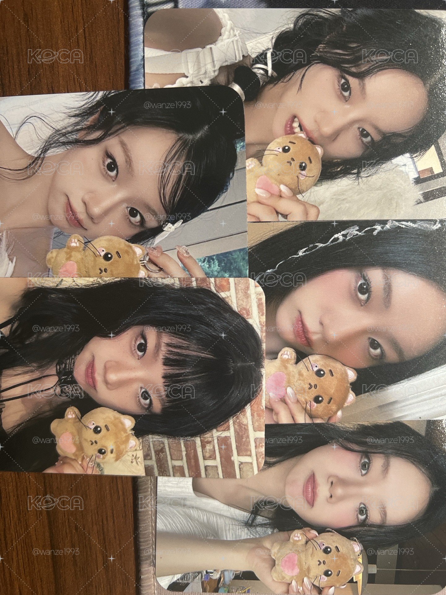 年曆套組小貓卡