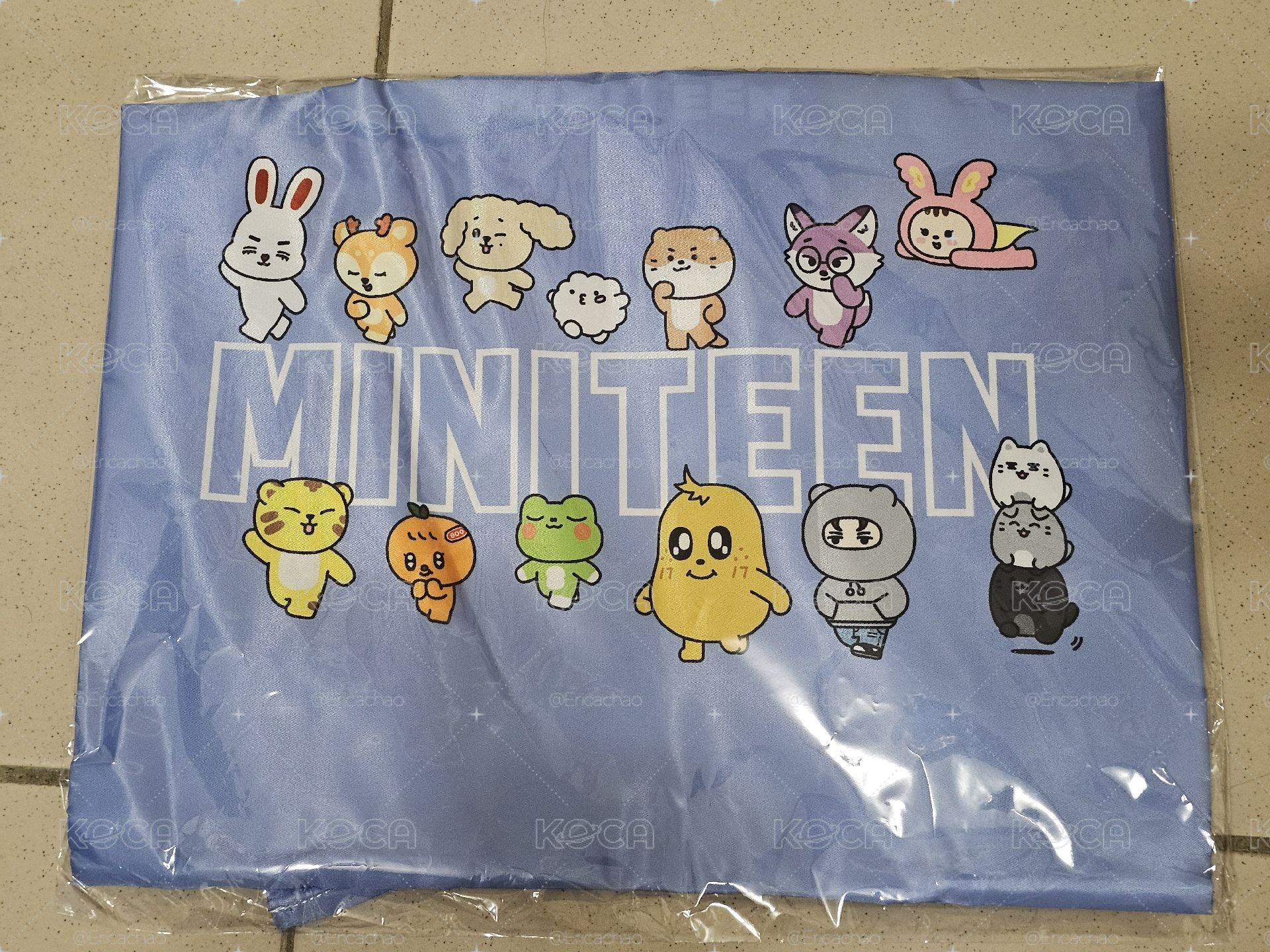 SEVENTEEN 環保袋 | MINITEEN CAFE