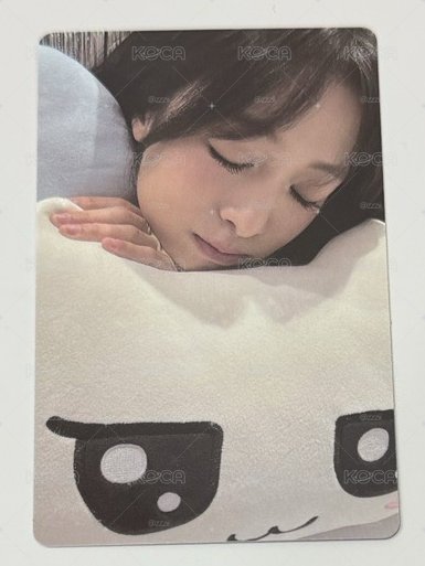早鳥賢 綁圖二
