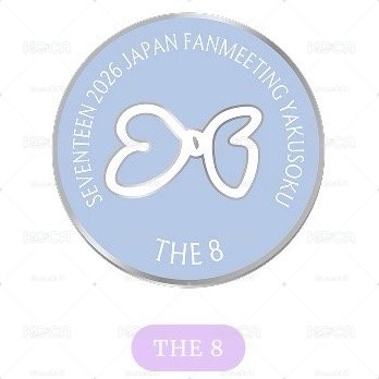 SEVENTEEN YAKUSOKU 別針襟章 THE8