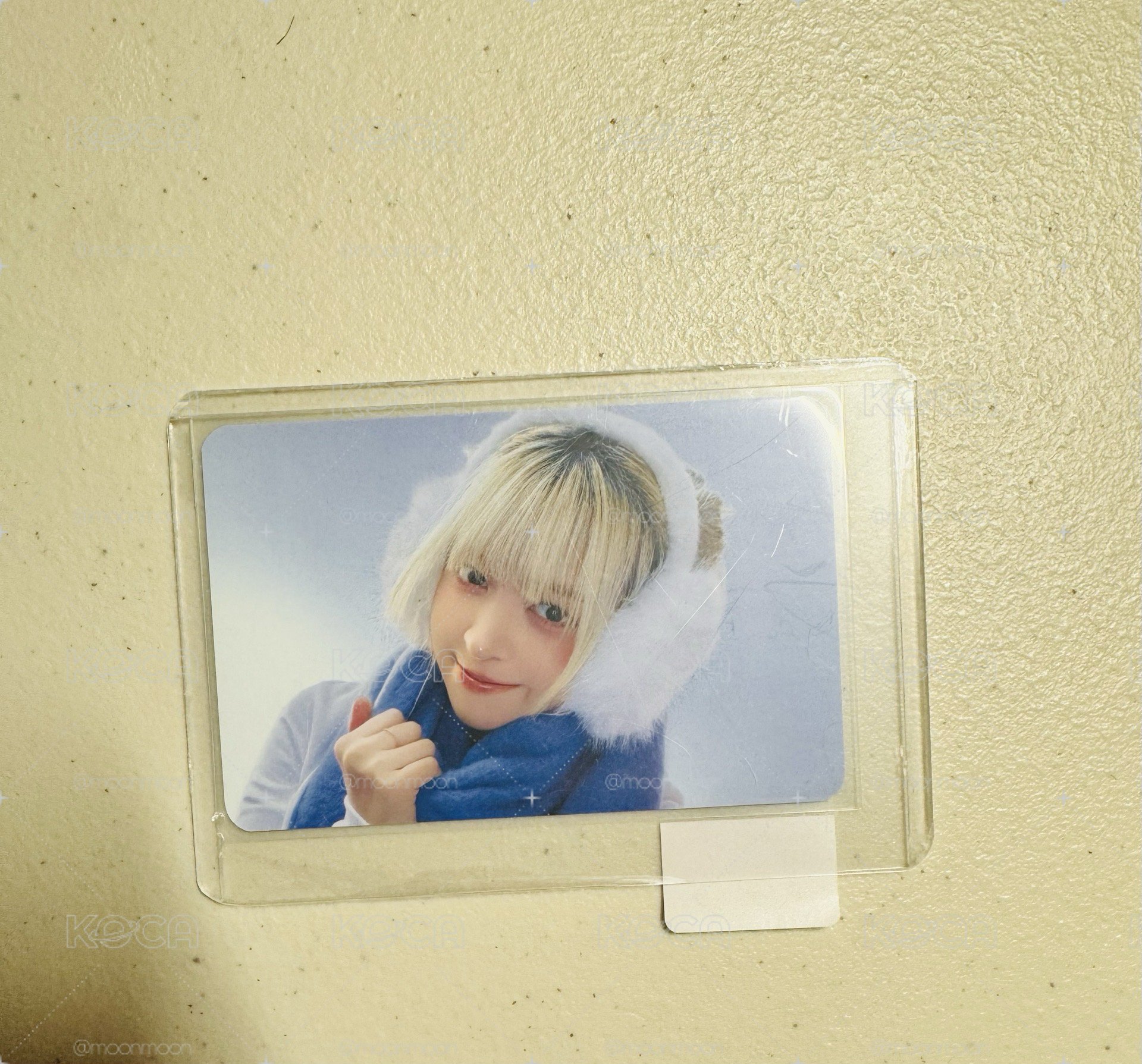 暖呼呼莉