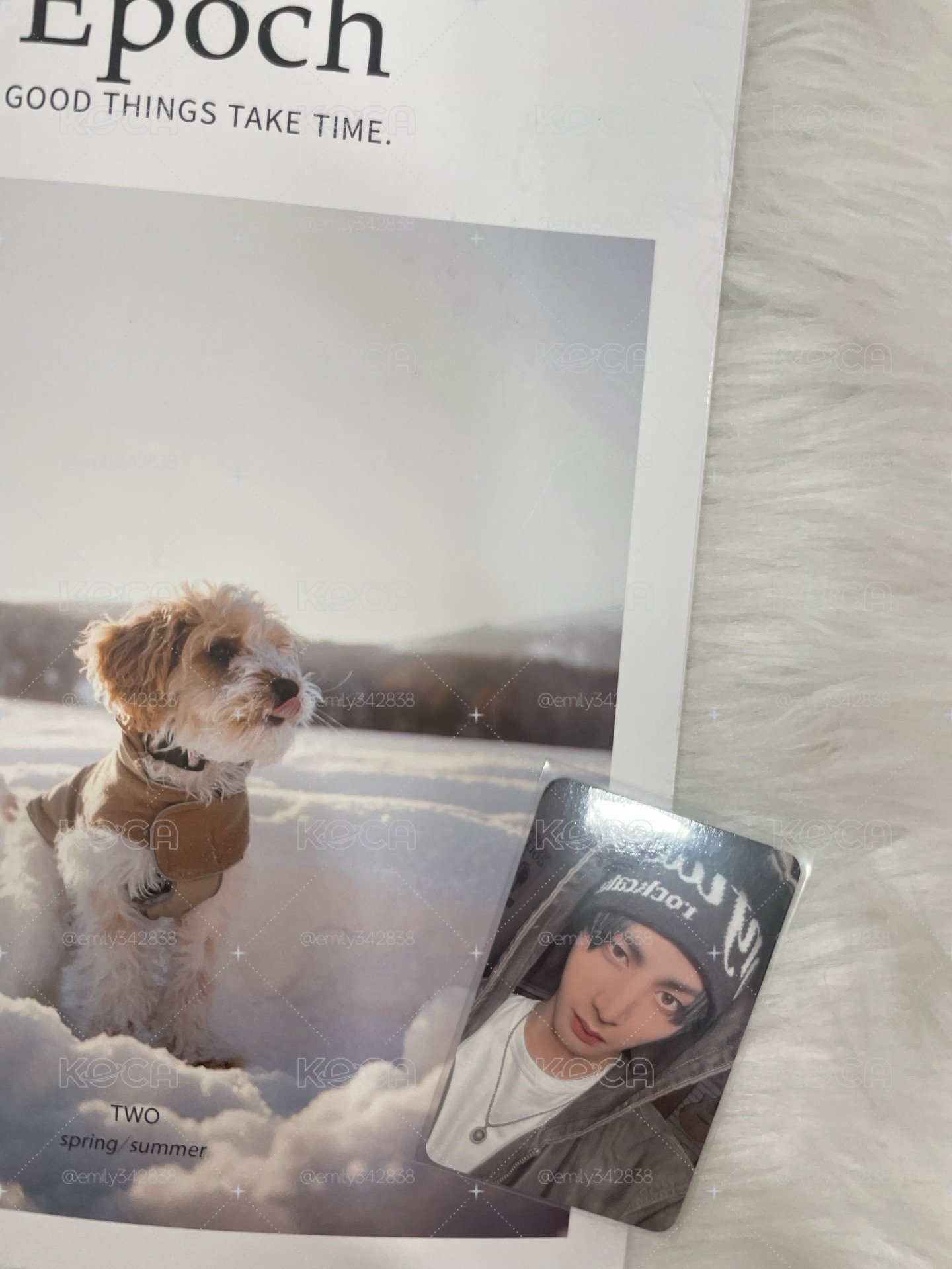 【BND】🐈‍⬛19.99打歌卡