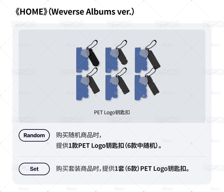 BND 正規一 wvs通路