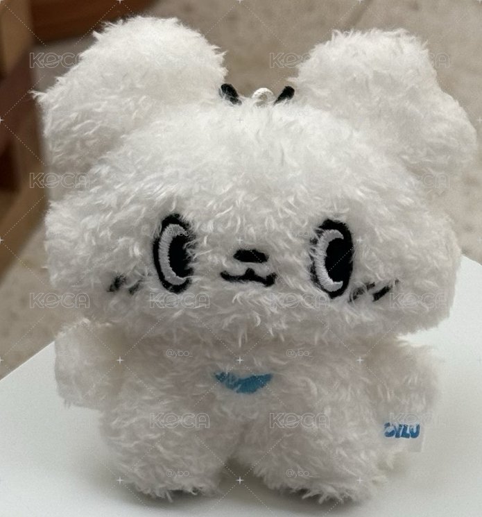 CYLU CHANI 全新未拆娃（含卡）