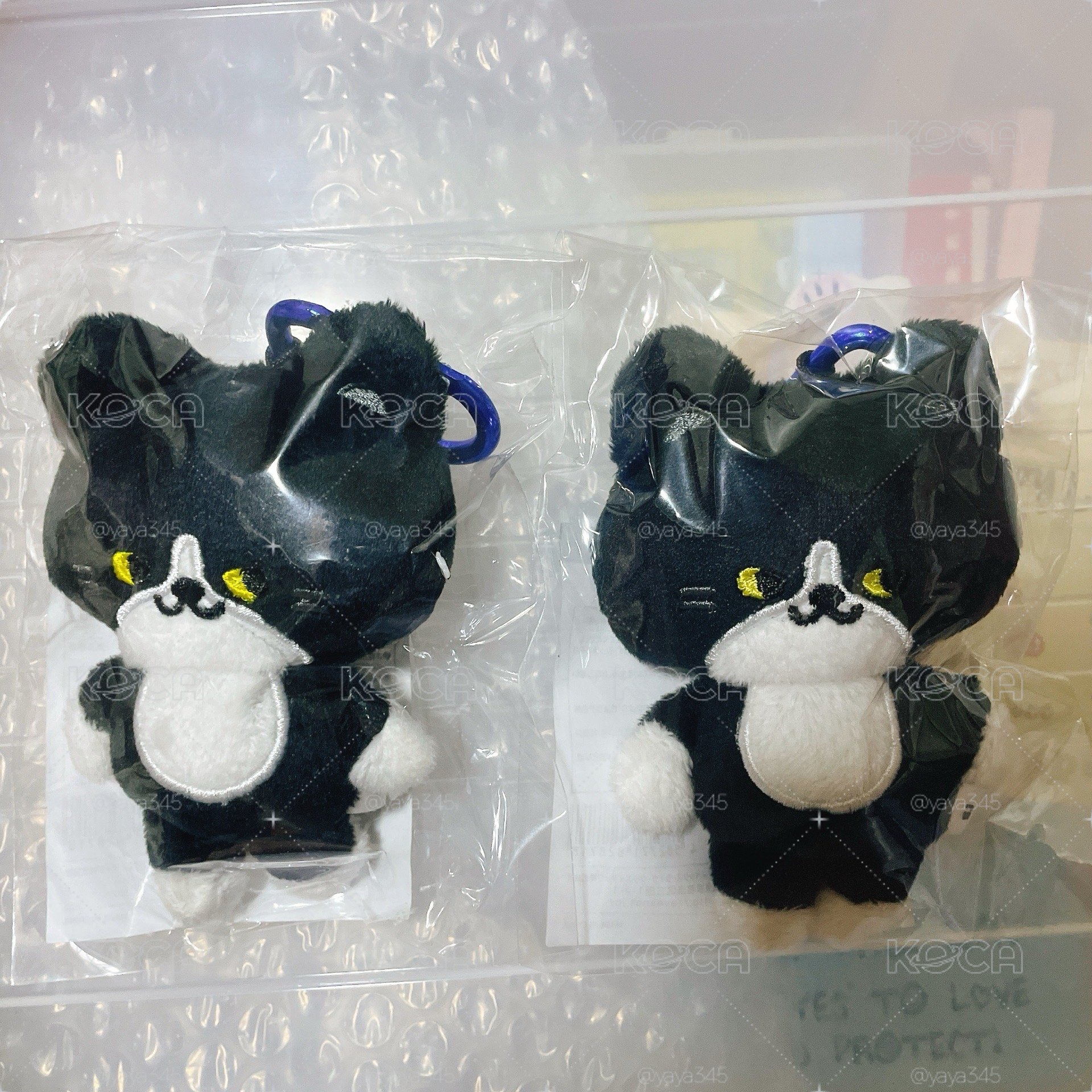 Super Junior 日周 Coco貓