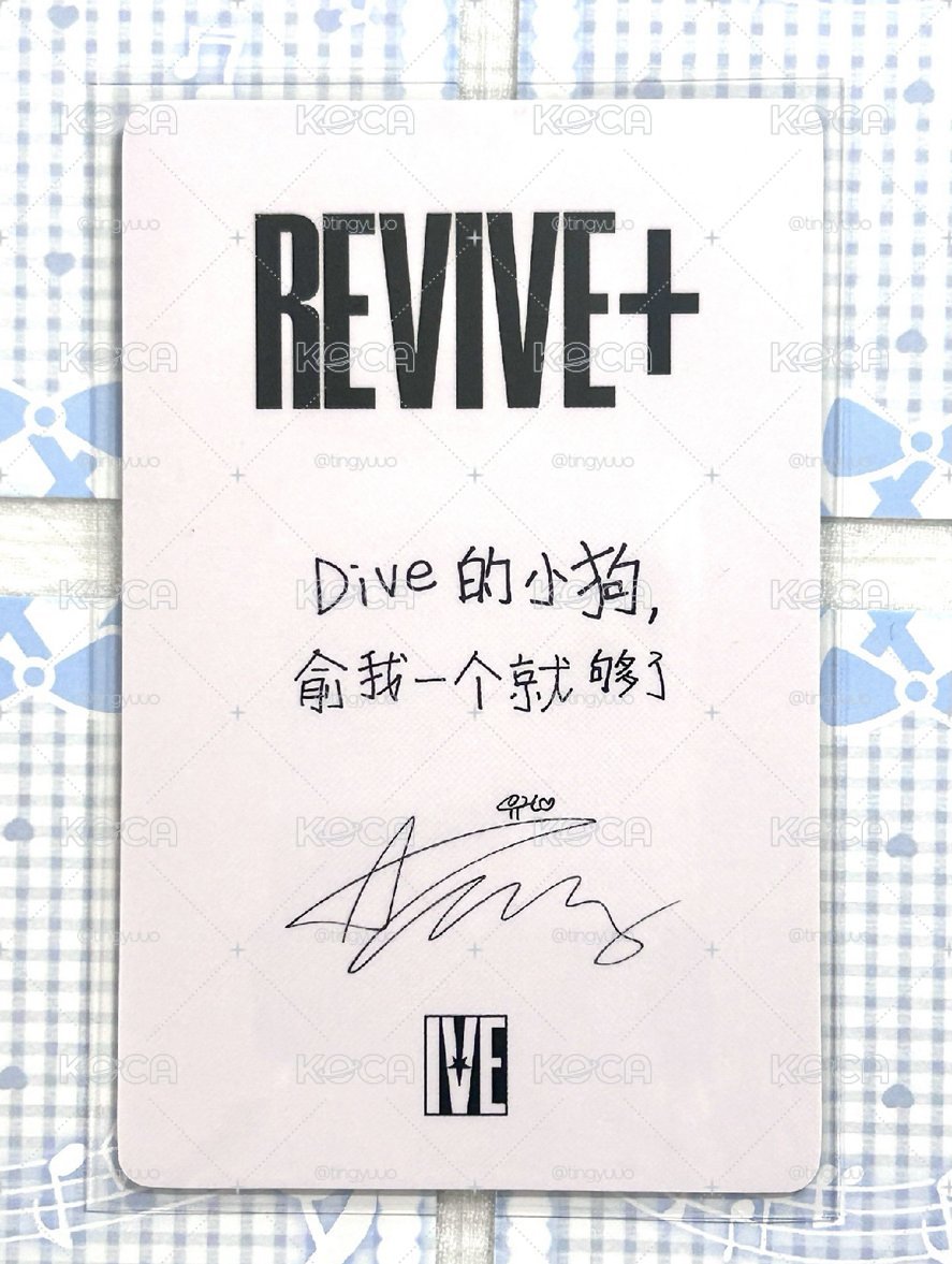 京東安 Dive的小狗 俞我一個就夠了