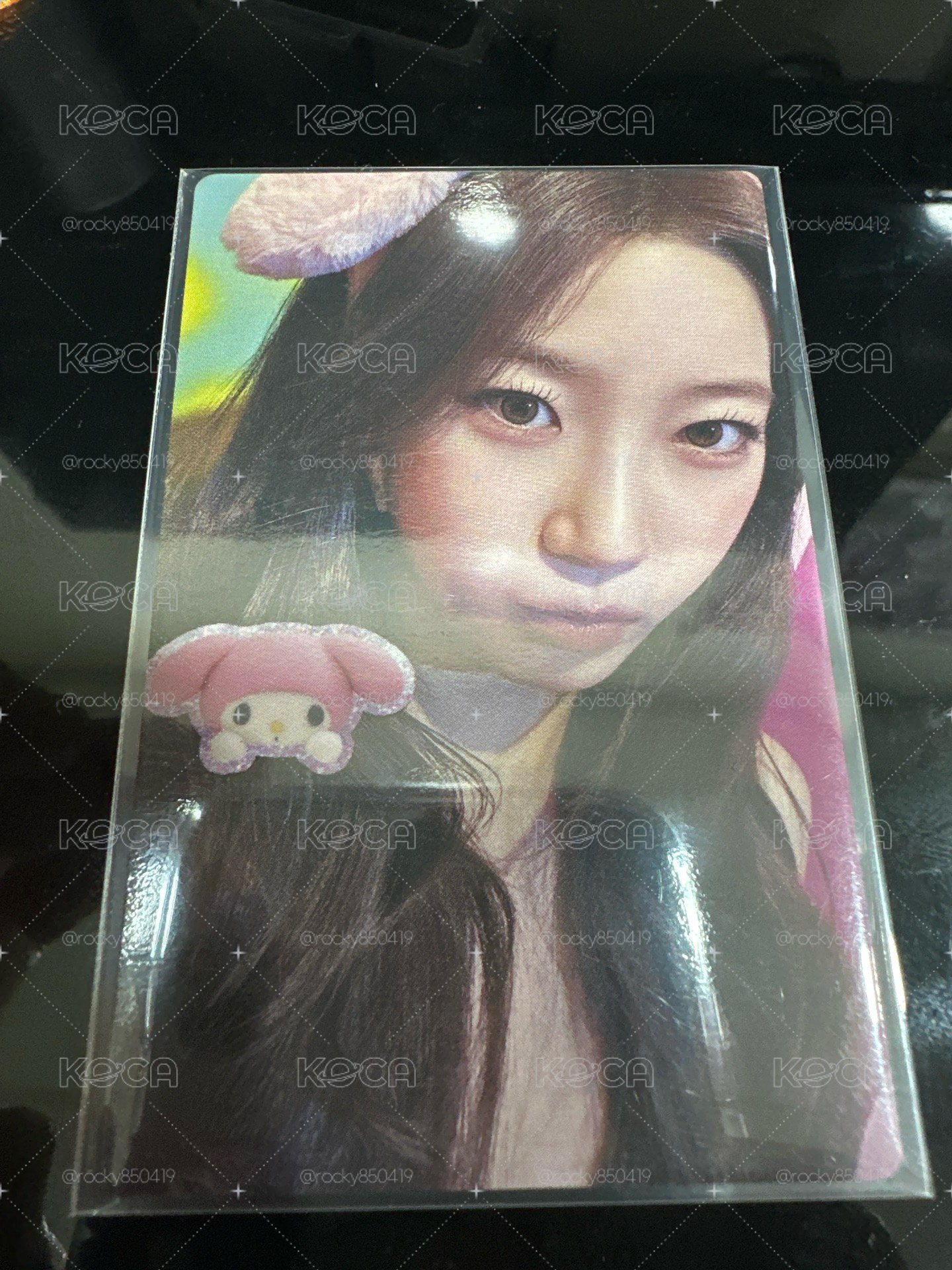 美樂蒂ㄧ葉