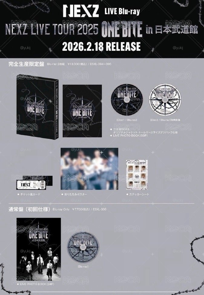2025 日巡武道館藍光 完全生產限定盤 通常盤