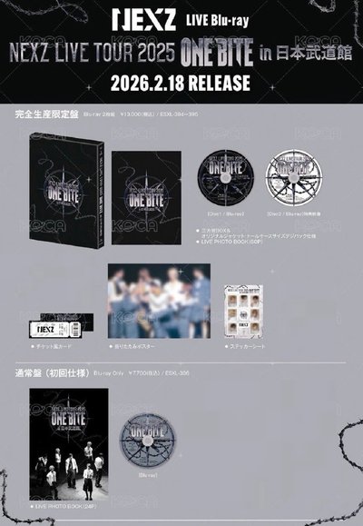 2025 日巡武道館藍光 完全生產限定盤 通常盤