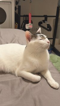 退坑大作戰