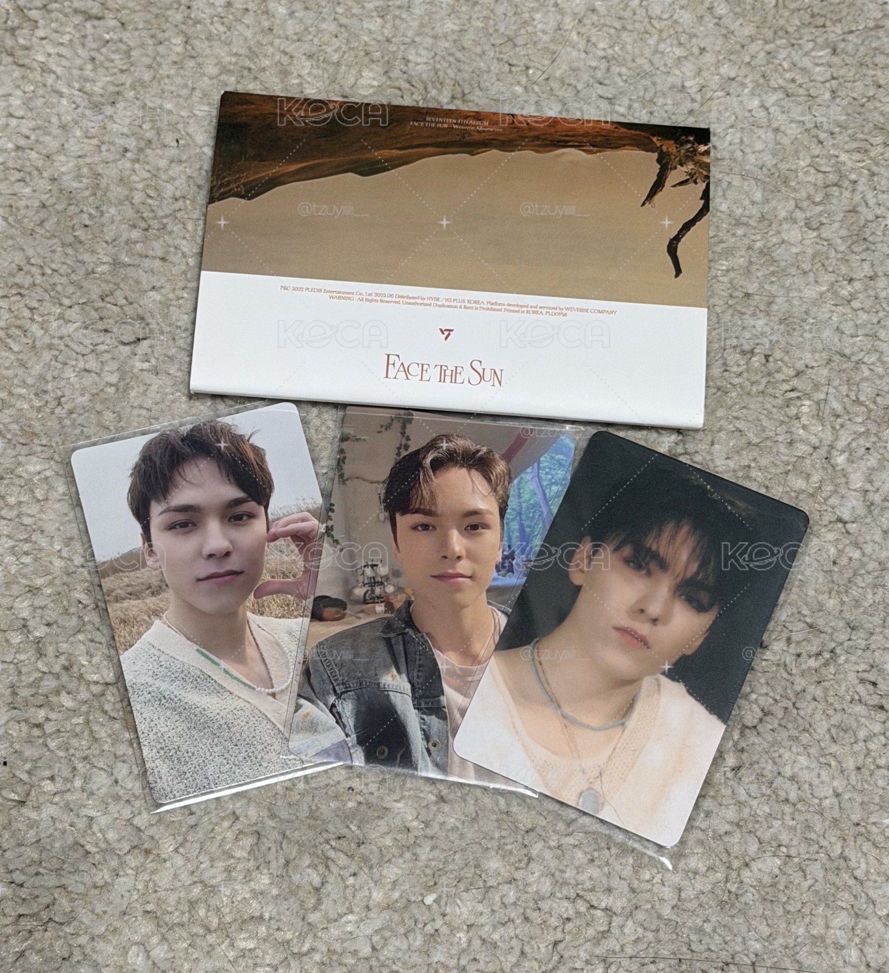 FACE THE SUN Vernon 電子專