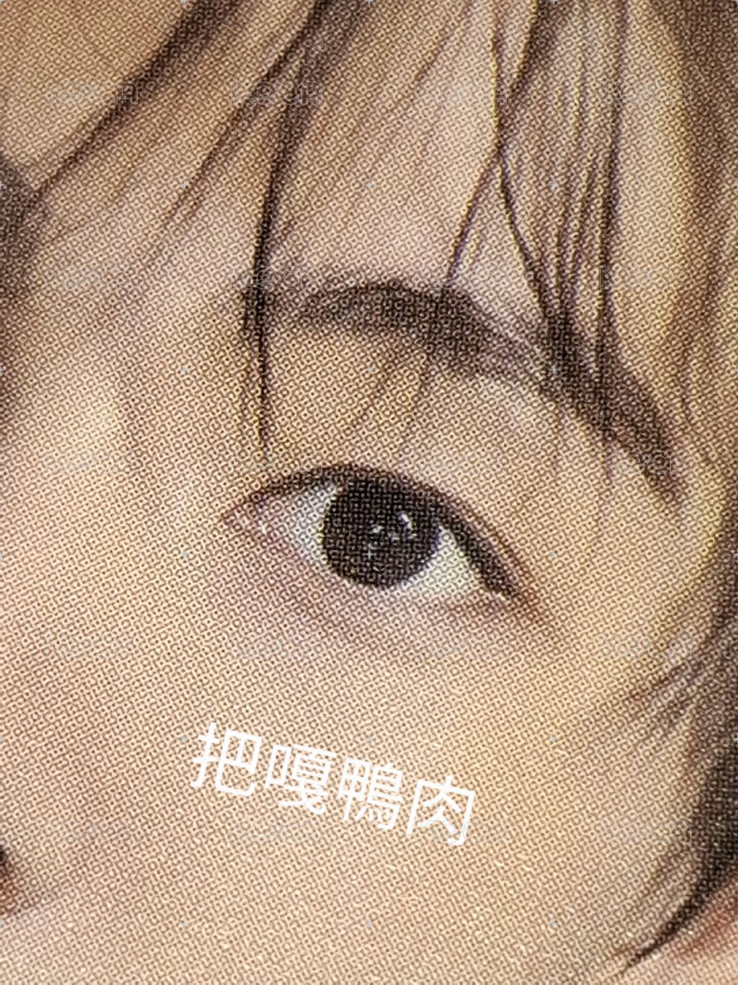 迷一 YT st 電子專 直播卡 STUDIO CHOOM玹
