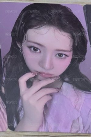 茶